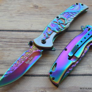8 INCH DARK SIDE BLADES FANTASY SPRING ASSISTED KNIFE WITH POCKET CLIP DS-A063RB